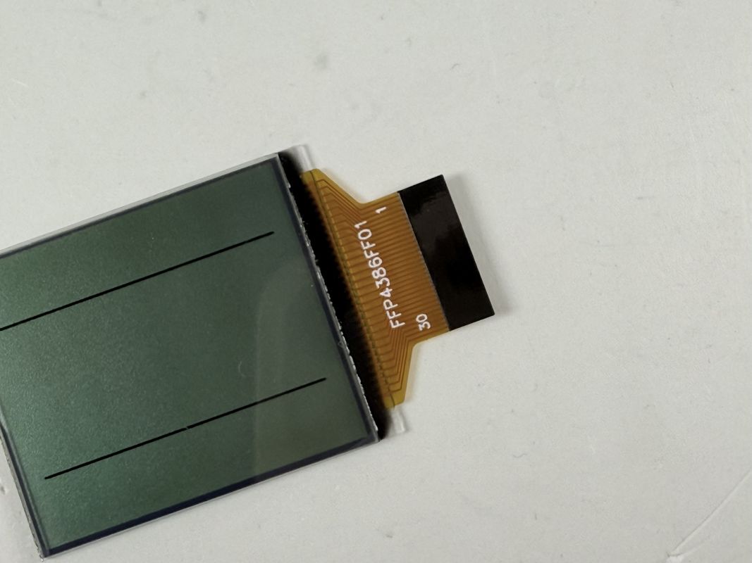 कस्टम FSTN ब्लैक एंड व्हाइट एलसीडी डिस्प्ले | औद्योगिक और इलेक्ट्रॉनिक अनुप्रयोगों के लिए मोनोक्रोम सेगमेंट एलसीडी