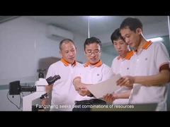 डोंगगुआन फैंगशेंग एलसीडी कंपनी लिमिटेड